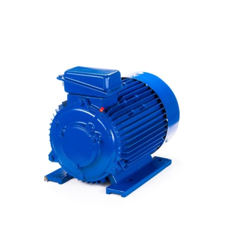 Эл.двигатель 5МТКН 225 L6 55/1000  IM 1003 фото 6