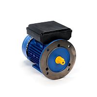 Эл.двигатель 5АИЕ2 80 В2 1.5/3000  IM 2081