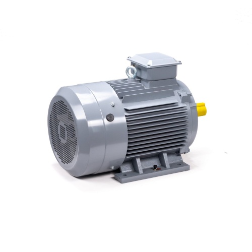 Эл.двигатель ESQ PR 200 M4 GST-Б1-S12-IE2 37/1500 IM 1001 фото 5