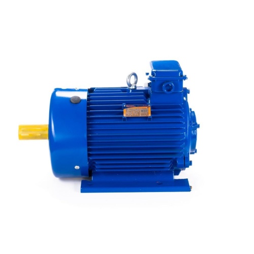 Эл.двигатель 5МТКН 225 L6 55/1000  IM 1003 фото 10