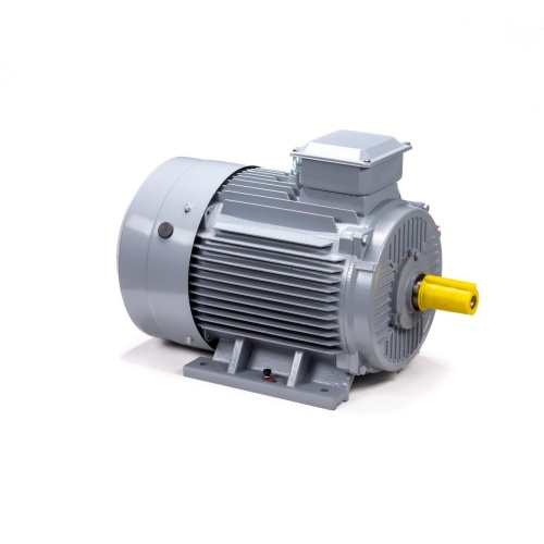 Эл.двигатель ESQ PR 200 M4 GST-Б1-S12-IE2 37/1500 IM 1001 фото 3