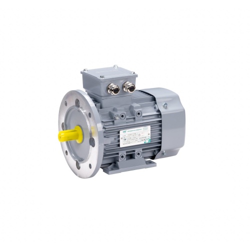 Эл.двигатель ESQ PR 200 LB6-SDN-Б1-S12-IE3 22/1000 IM B35 фото 11