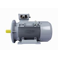 Эл.двигатель ESQ PR 132 S6-SDN-Б1-S12-IE2 3/1000 IM B35