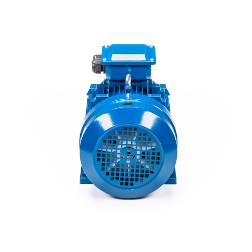 Эл.двигатель 5АИ 100 L4 4/1500 IM 1081 фото 7