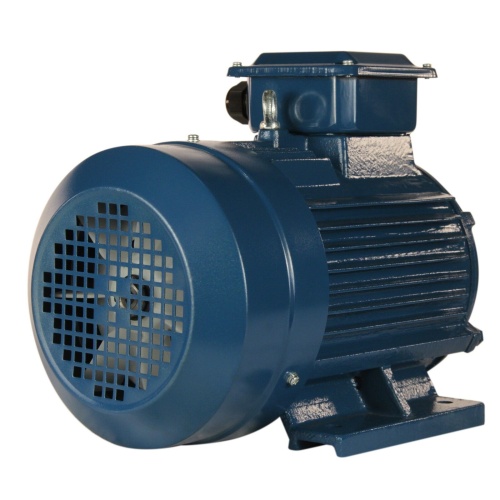 Эл.двигатель 5АИ 100 L2 ET 5.5/3000  IM 1081 фото 4