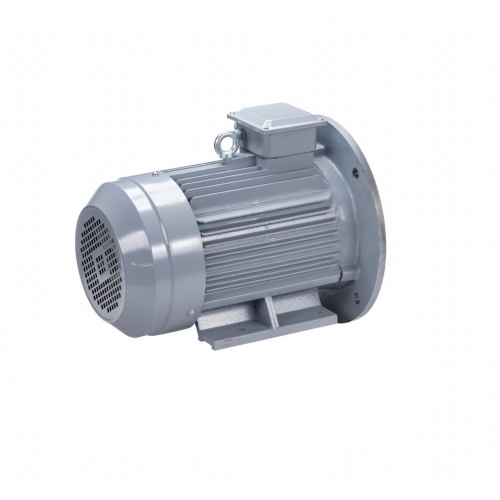 Эл.двигатель ESQ PR 112 M4 GST-Б1-S12-IE2 5.5/1500 IM 2081 фото 5