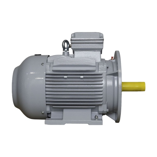 Эл.двигатель ESQ PR 160 М6-SDN-Б1-S12-IE2 7.5/1000 IM B35 фото 3