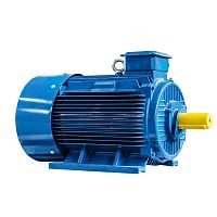Эл.двигатель 5АИ 355 MLA6 250/1000 IM 1001