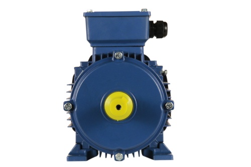 Эл.двигатель 5АИ 80 А8 0.37/750 IM 1081 фото 3
