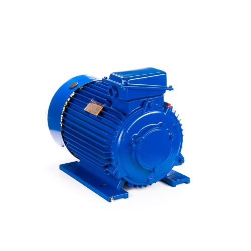 Эл.двигатель 5МТКН 225 L6 55/1000  IM 1003 фото 8