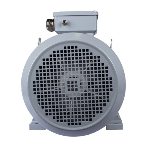 Эл.двигатель ESQ PR 132 MA6-SDN-Б1-S12-IE2 4/1000 IM B35 фото 5