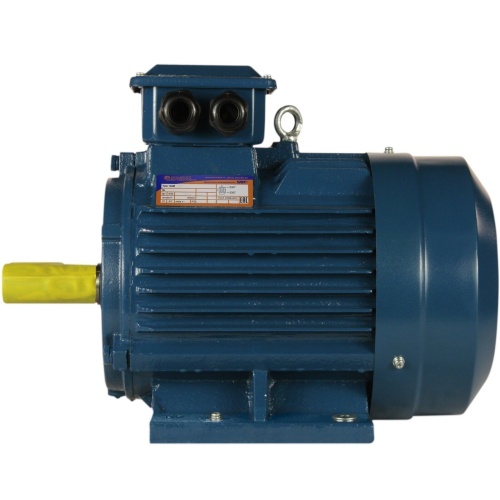 Эл.двигатель 5АИ 100 L2 ET 5.5/3000  IM 1081