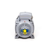 Эл.двигатель ESQ PR 200 L4-SDN-Б1-S12-IE2 30/1500 IM B3