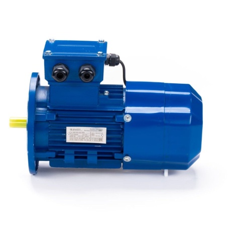 Электродвигатель 5АИ 90 L4 ET 2.2/1500 IM 3081 фото 10