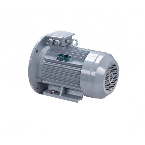 Эл.двигатель ESQ PR 100 L4 GST-Б1-S12-IE2 4/1500 IM 2081 фото 9