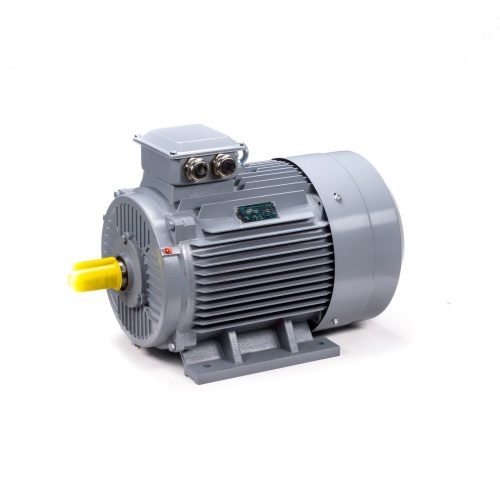 Эл.двигатель ESQ PR 200 M4 GST-Б1-S12-IE2 37/1500 IM 1001 фото 11
