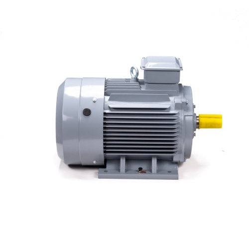 Эл.двигатель ESQ PR 200 M4 GST-Б1-S12-IE2 37/1500 IM 1001 фото 4