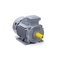 Эл.двигатель ESQ PR 160 S4 GST-Б1-S12-IE2 15/1500 IM 1001