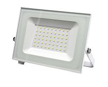 Прожектор светодиодный СДО 06-50 6500К IP65 бел. IEK LPDO601-50-65-K01