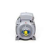 Эл.двигатель ESQ PR 280 M4-SDN-Б1-S12-IE3 90/1500 IM B3
