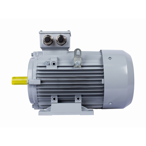Эл.двигатель ESQ PR 160 MA2-SDN-Б1-S12-IE3 11/3000 IM B3 фото 4