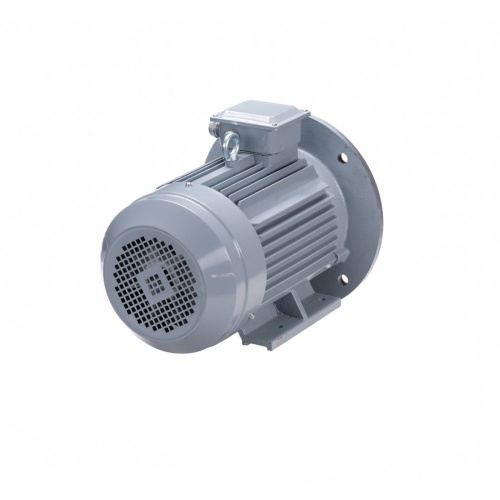 Эл.двигатель ESQ PR 112 M4 GST-Б1-S12-IE2 5.5/1500 IM 2081 фото 6