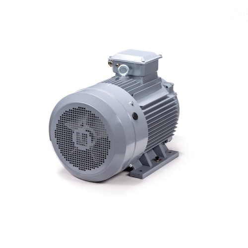 Эл.двигатель ESQ PR 200 M4 GST-Б1-S12-IE2 37/1500 IM 1001 фото 6