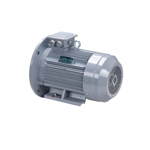 Эл.двигатель ESQ PR 112 M4 GST-Б1-S12-IE2 5.5/1500 IM 2081 фото 9