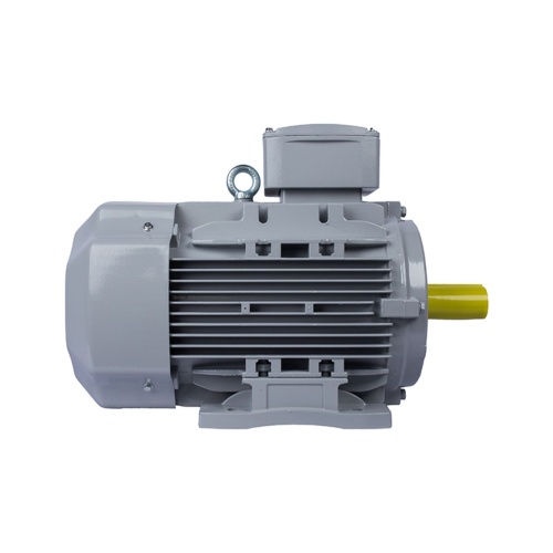 Эл.двигатель ESQ PR 100 LA2-SDN-Б1-S12-IE3 3/3000 IM B3 фото 5