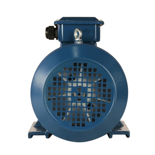 Эл.двигатель 5АИ 100 L2 ET 5.5/3000  IM 1081 фото 5