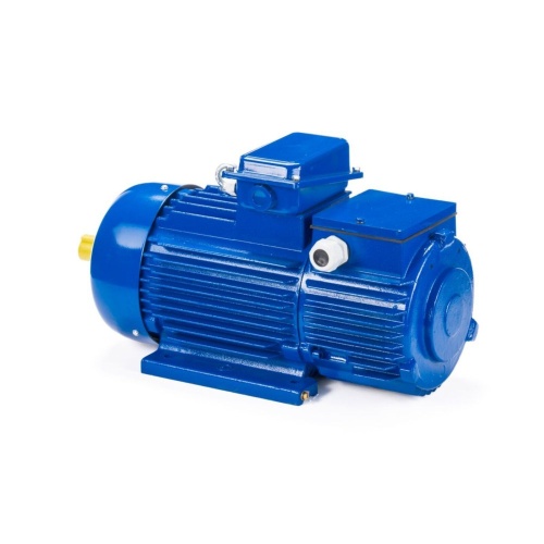 Эл.двигатель 5МТН 200 LB8 22/750  IM 1003 фото 9