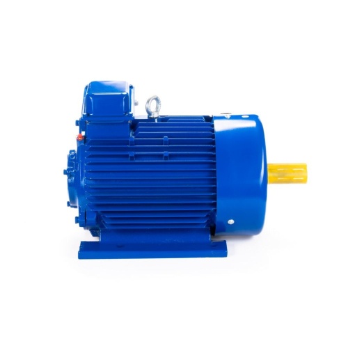 Эл.двигатель 5МТКН 225 L6 55/1000  IM 1003 фото 4