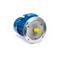 Эл.двигатель 5АИ 100 S2 4/3000 IM 3081