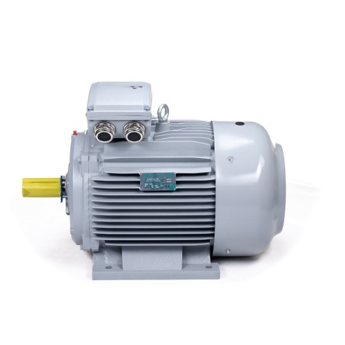Эл.двигатель ESQ PR 315 LA4-SDN-Б1-S32-IE2 160/1500 IM B3 фото 8