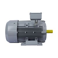 Эл.двигатель ESQ PR 132 S6-SDN-Б1-S12-IE2 3/1000 IM B3
