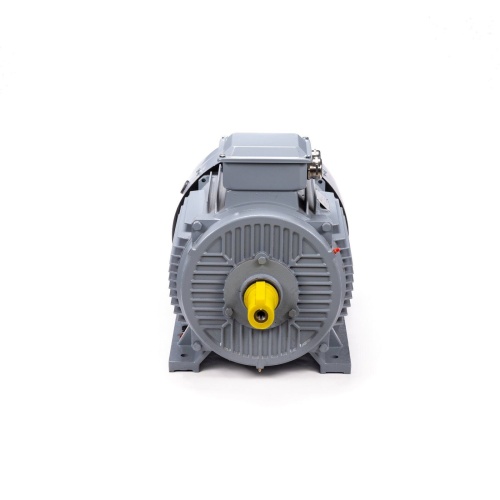 Эл.двигатель ESQ PR 200 M4 GST-Б1-S12-IE2 37/1500 IM 1001