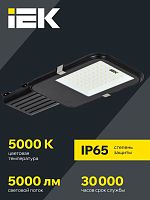 Светильник светодиодный ДКУ 1013-50Д 5000К IP65 уличный консольный IEK LDKU1-1013-050-5000-K03