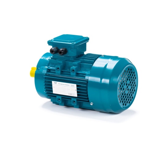 Эл.двигатель ESQ 80 A2-SDN-DS 0.75/3000 IM B14 фото 10