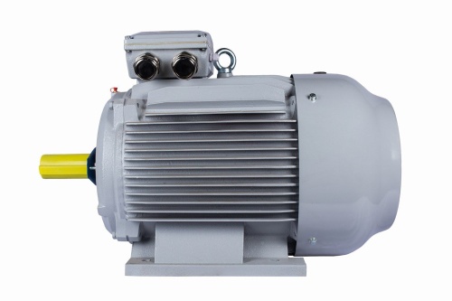 Эл.двигатель ESQ PR 315 S4-SDN-Б1-S12-IE3 110/1500 IM B3