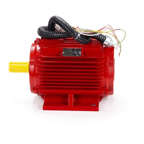 Эл.двигатель ESQ 4.2-FR-400C-2hR 4/3000  IM 1081 фото 10