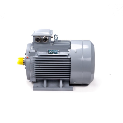 Эл.двигатель ESQ PR 200 M4 GST-Б1-S12-IE2 37/1500 IM 1001 фото 10