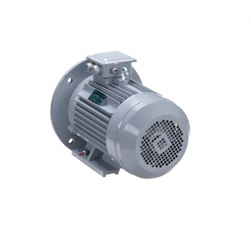 Эл.двигатель ESQ PR 112 M4 GST-Б1-S12-IE2 5.5/1500 IM 2081 фото 8