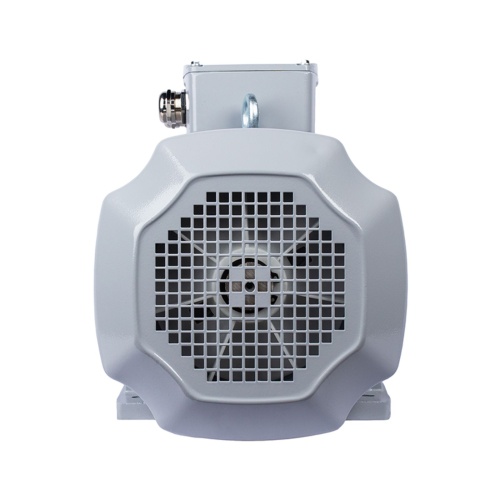 Эл.двигатель ESQ PR 100 LA2-SDN-Б1-S12-IE3 3/3000 IM B3 фото 4