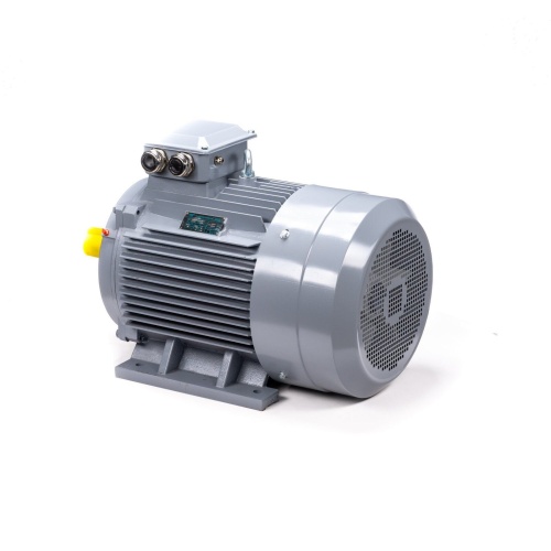 Эл.двигатель ESQ PR 200 M4 GST-Б1-S12-IE2 37/1500 IM 1001 фото 8