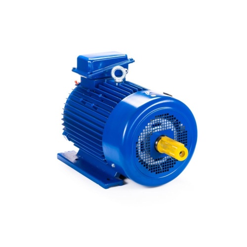 Эл.двигатель 5МТКН 225 L6 55/1000  IM 1003