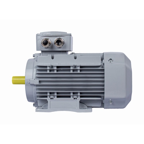 Эл.двигатель ESQ PR 100 LB4-SDN-Б1-S12-IE3 3/1500 IM B34 фото 5