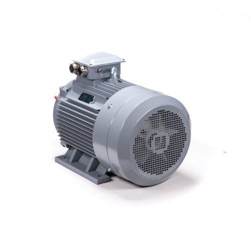 Эл.двигатель ESQ PR 200 M4 GST-Б1-S12-IE2 37/1500 IM 1001 фото 9