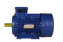Эл.двигатель 5АИ 100 L4 ED 4/1500  IM 1081