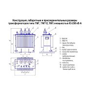 Трансформатор ТМГ-100/6/0.4 У/Zн-11 У1 ЭЛЕКТРОЩИТ Чехов
