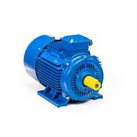 Эл.двигатель 5АИ 200 L2 45/3000 IM 1001